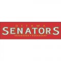 Ottawa Senators Script Logo  Iron-on Stickers (Heat Transfers) version 1