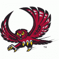 1996-Pres Temple Owls Alternate Logo Decals Stickers