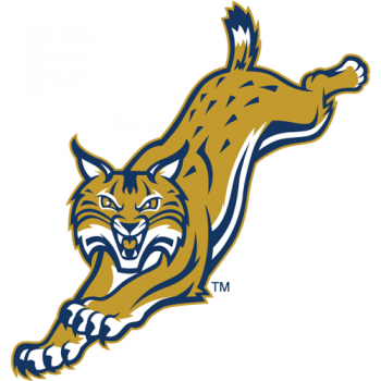 2002-Pres Quinnipiac Bobcats Alternate Logo Iron-on Stickers (Heat Transfers)