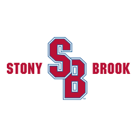 2008-Pres Stony Brook Seawolves Alternate Logo Decals Stickersing