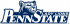 Penn State Nittany Lions 2001-2004 Alternate Logo Decals Stickers 5