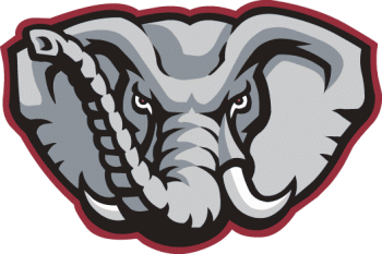 Alabama Crimson Tide 2002-Pres Alternate Logo Iron-on Stickers (Heat Transfers)