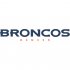 Denver Broncos Script Logo  Decals Stickers version 1