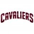 cleveland cavaliers crystal logo iron on sticker