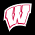 1991-Pres Wisconsin Badgers Alternate Logo Iron-on Stickers (Heat Transfers)