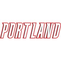 Portland Trail Blazers Script Logo  Iron-on Stickers (Heat Transfers)