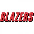 Portland Trail Blazers Script Logo  Iron-on Stickers (Heat Transfers)