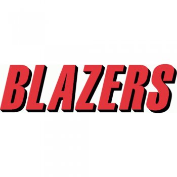 Portland Trail Blazers Script Logo  Iron-on Stickers (Heat Transfers)