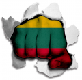 hulk LITHUANIA Flag iron on transfer