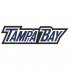 Tampa Bay Lightning Script Logo  Iron-on Stickers (Heat Transfers)