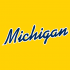 1996-Pres Michigan Wolverines Wordmark Logo Iron-on Stickers (Heat Transfers)