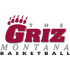 0-Pres Montana Grizzlies Wordmark Logo Decals Stickers