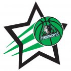 Goal Star Logo