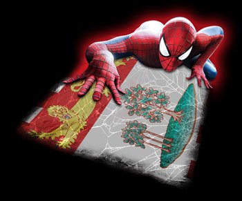 spiderman Prince Edward Island Flag decal sticker