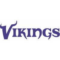 Minnesota Vikings Script Logo  Iron-on Stickers (Heat Transfers) version 2