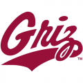 1996-Pres Montana Grizzlies Wordmark Logo Decals Stickers