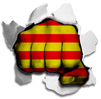 hulk CATALONIA Flag iron on transfer