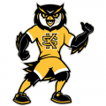 Kennesaw State Owls 2012-Pres Mascot Logo Iron-on Stickers (Heat Transfers)