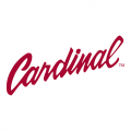 1993-Pres Stanford Cardinal Wordmark Logo Decals Stickers