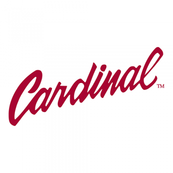 1993-Pres Stanford Cardinal Wordmark Logo Iron-on Stickers (Heat Transfers)