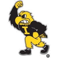 Iowa Hawkeyes 2002-Pres Mascot Logo Iron-on Stickers (Heat Transfers)