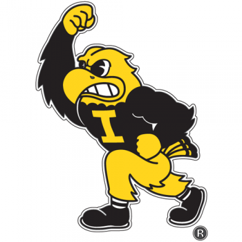 Iowa Hawkeyes 2002-Pres Mascot Logo Iron-on Stickers (Heat Transfers)