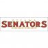 Ottawa Senators Script Logo  Iron-on Stickers (Heat Transfers) version 2