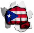 hulk PUERTO RICO Flag iron on transfer