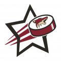 Arizona Coyotes Hockey Goal Star iron on transfer