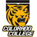 2011-Pres Colorado College Tigers Alternate Logo T shir t Iron-on Stickers (Heat Transfers)