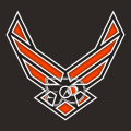 Airforce Philadelphia Flyers Logo