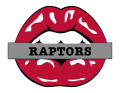 toronto raptors script logo iron on transfers