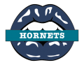 charlotte hornets script logo iron on transfers