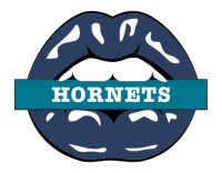 charlotte hornets script logo iron on transfers