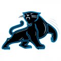 Carolina Panthers Alternate Logo  Iron-on Stickers (Heat Transfers) version 2