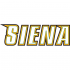 2001-Pres Siena Saints Wordmark Logo Decals Stickers