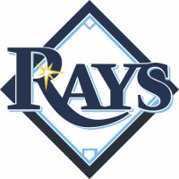 Tampa Bay Rays Primary Logo  Iron-on Stickers (Heat Transfers)