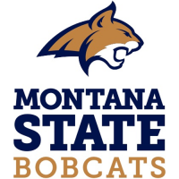 2013-Pres Montana State Bobcats Alternate Logo Decals Stickers