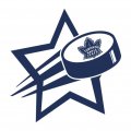 Toronto Maple Leafs Hockey Goal Star iron on transfer