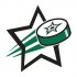 Dallas Stars Hockey Goal Star iron on transfer