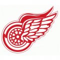 Detroit Red Wings Primary Logo  Iron-on Stickers (Heat Transfers)