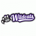 2012-Pres Weber State Wildcats Misc Logo Decals Stickers