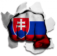 hulk SLOVAKIA Flag iron on transfer