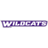 Abilene Christian Wildcats 2013-Pres Wordmark Logo Decals Stickers