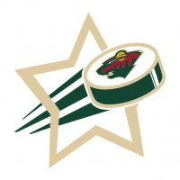 Minnesota Wild Hockey Goal Star iron on transfer