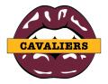 cleveland cavaliers script logo iron on transfers