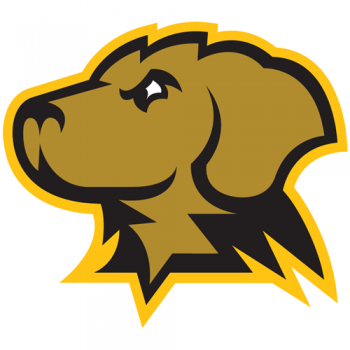 UMBC Retrievers 2010-Pres Partial Logo Decals Stickers