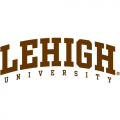 2004-Pres Lehigh Mountain Hawks Wordmark Logo Iron-on Stickers (Heat Transfers)