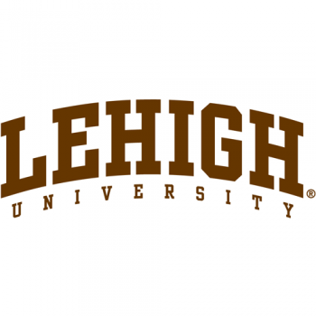 2004-Pres Lehigh Mountain Hawks Wordmark Logo Iron-on Stickers (Heat Transfers)