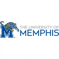 0-Pres Memphis Tigers Alternate Logo Iron-on Stickers (Heat Transfers)